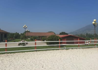 Escuela de Equitación Principado de Asturias - hipica in Paredes