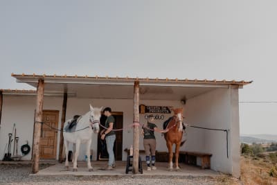 Quinta Da Perdigota - hipica in Bragança