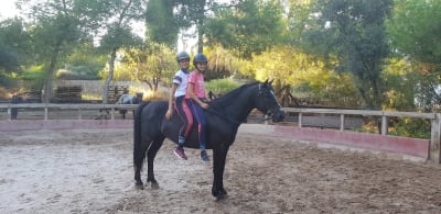 Centro hipico Equilive - hipica in Nàquera