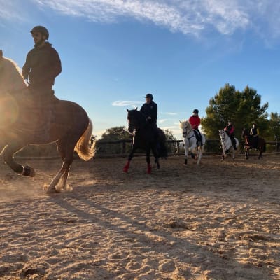 Centro Ecuestre CM - hipica in Almansa