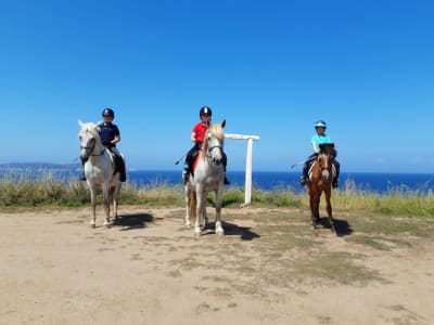 Hipica Abrego - hipica in Noalla