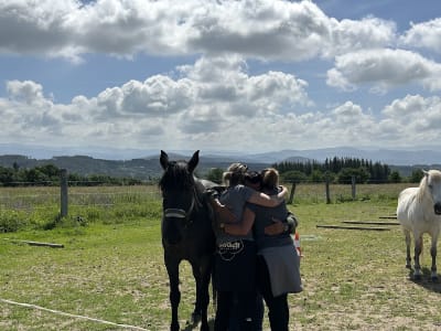 El rincón de finca el Carmen - hipica in Monforte de Lemos