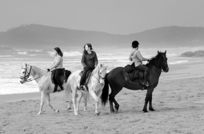 Club Hípico Amazonas e Cabaleiros de Oroso - hipica in Sigüeiro