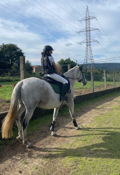 EQUIALMA - hipica in Ames