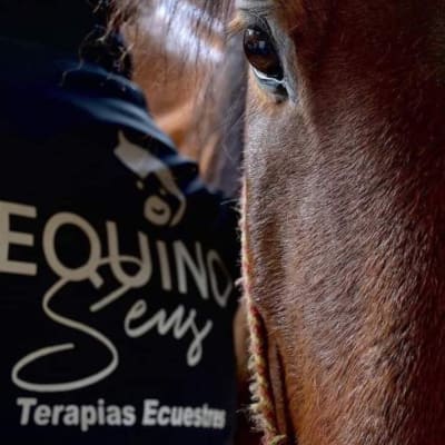 EquinoSens - hipica 