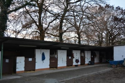 Centro Ecuestre La Belga - hipica in Bobes