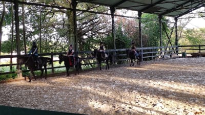 Equitacion Meres Sl - hipica in San Juan del Obispo