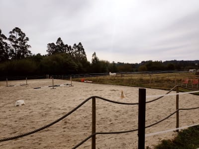 Club De Hípica Quilmand - hipica in Sada