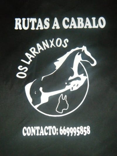 Os Laranxos Rutas a Cabalo - hipica in A Coruña