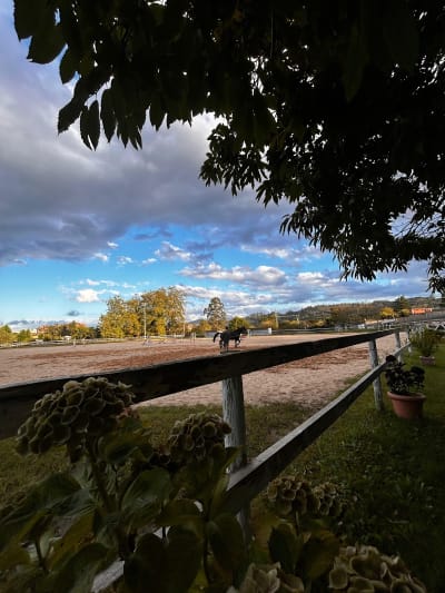 Centro Ecuestre Pola de Siero - hipica in Careses