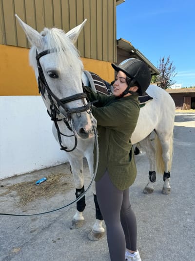 Sport Club Porto - Centro Hipico - hipica in Porto