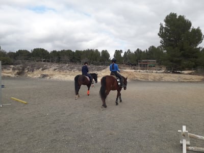Club Hípico Calpe - hipica in Calp