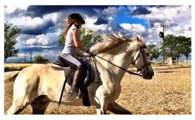 Club Hípico Madrid Sur - hipica in Pinto