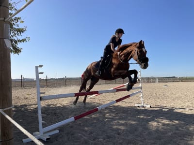 Club Hípico Henares - hipica in Torrejón de Ardoz