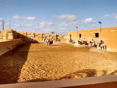 Club Hipico Titu - hipica in Vera