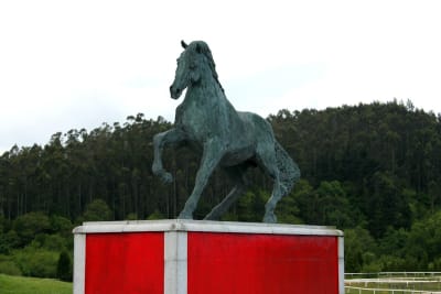 El Asturcon - hipica 
