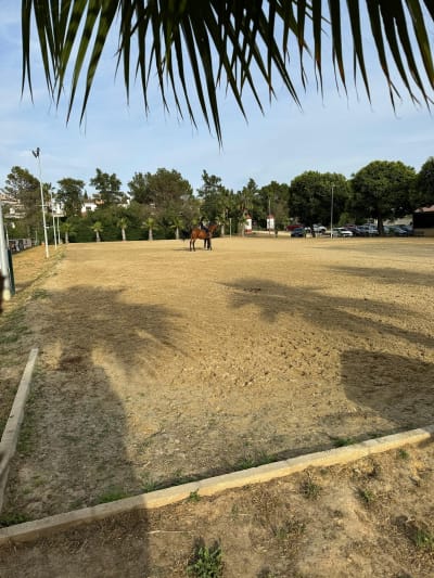 Escuela equitación Adrian Mora Hípica - golf in Bormujos