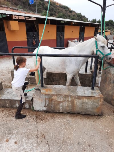 Riding School Nogales - hipica in Rincón de la Victoria