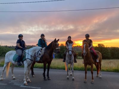 Centro Hípico Deva - hipica in Gijón