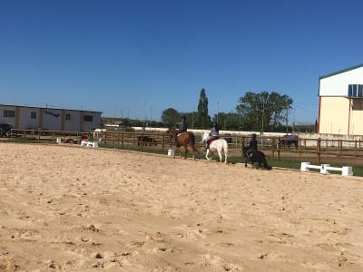 Centro Ecuestre El Hontanar - hipica in Aranda de Duero