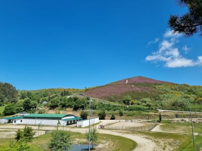 Centro Hípico de Baião - hipica in Baião