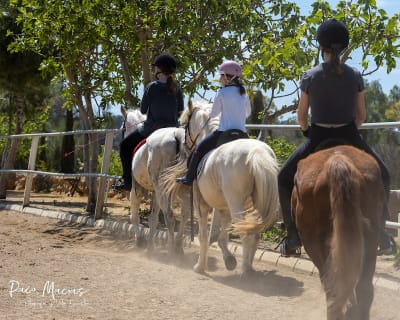 Club Hípico Carmona - hipica in Carmona