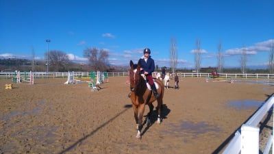 Club Hípico la Aldea Ecuestre - hipica in Fuente el Saz de Jarama