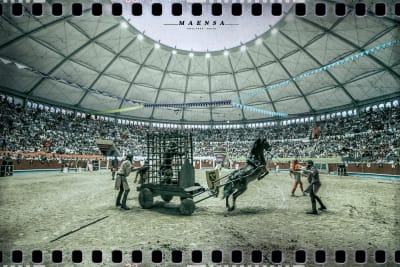 ESPECIALISTAS HIPICA CELTA - hipica 