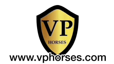 VP Horses - hipica in La Coruña