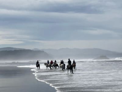 Horse Adventures - hipica in Lamuño