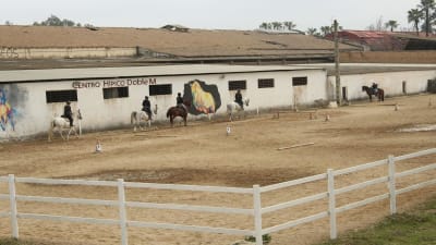Centro Hípico Doble M - hipica in San Juan de Aznalfarache