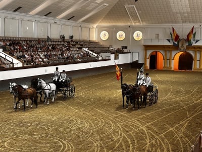 Fundacion Escuela de Caballerias. - hipica in Jerez de la Frontera