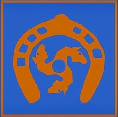 Ponyclub León - hipica in Palazuelo de Boñar