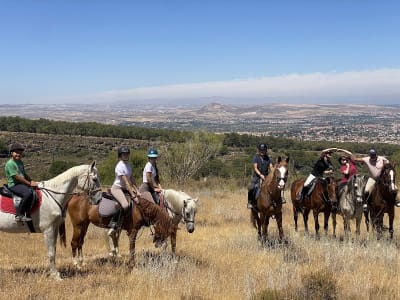 Escuela de Equitacion Ponyclub Granada - hipica in Granada