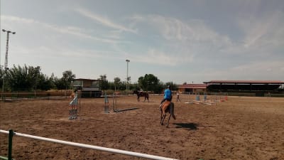 Escuela de Equitación Poni Club Castellón - hipica in Castelló de la Plana