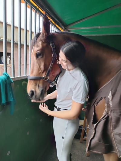 Associação Equiterapêutica do Porto e Matosinhos - hipica in Leça da Palmeira