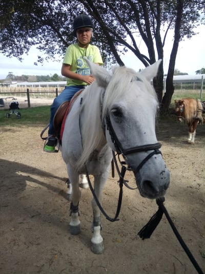 Centro Hípico de Pedroso - hipica in Pedroso
