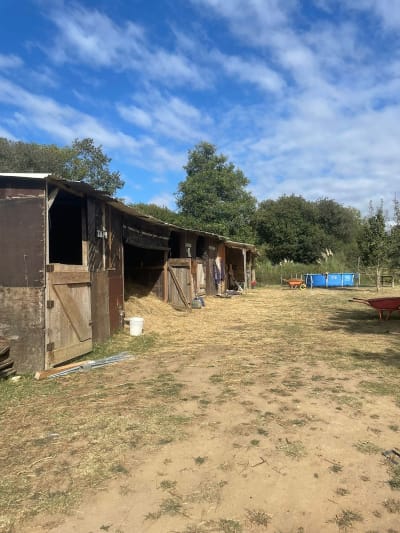 Aires Andrade School horses - hipica in Gulpilhares