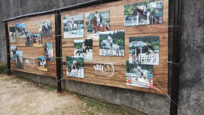 A.R.E.S - hipica in Porto