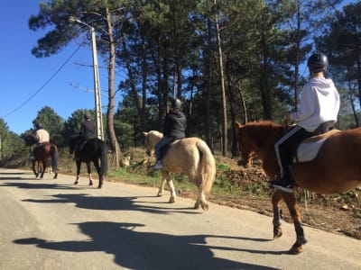 Cavalariça das Bouças - hipica in Vila Real