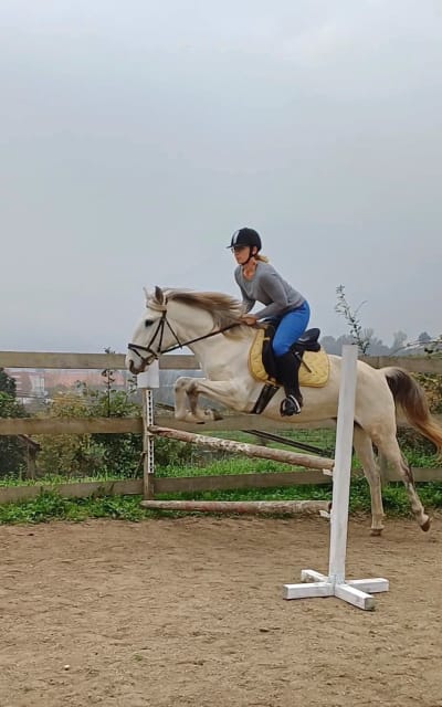 Cavalo da Sorte - hipica in Amarante