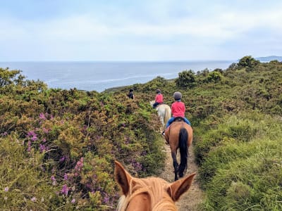Equus Boria - hipica in San Vicente de la Barquera