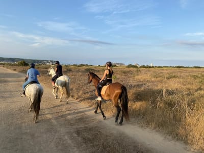 Hípica Mas Paguina - hipica in L'Estartit