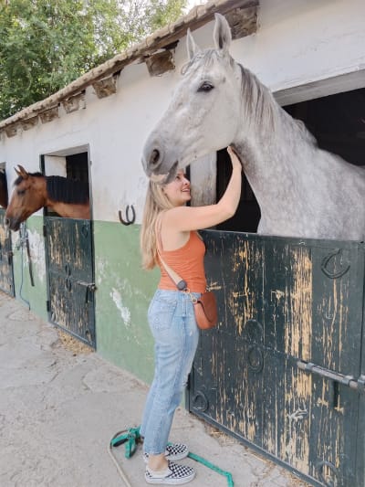 Hípica Montenegro Escuela de Equitación Madrid - hipica in Madrid