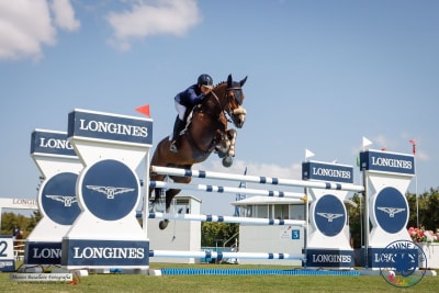 YEGUADA 4WINDERS - HAAP SPORT HORSES - hipica in Brunete