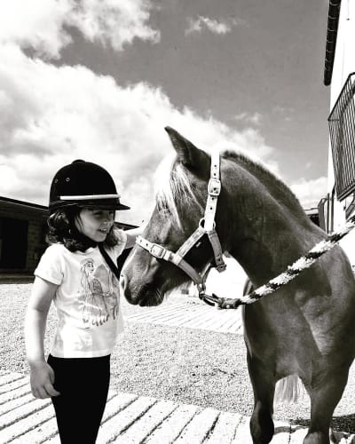 Yeguada Güemes - hipica in Gornazo