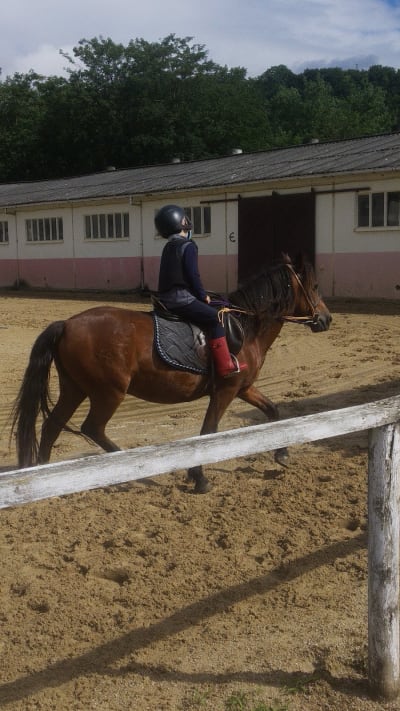 Yeguada de Sorribas - hipica in Sebares