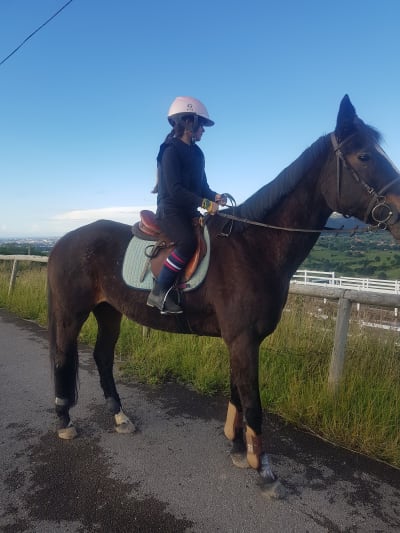 Yeguada El Pomar - hipica in Villaescusa, Obregon