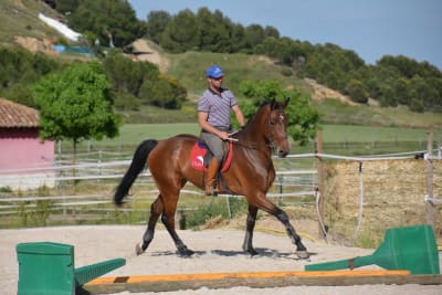 Yeguada Valle de Olid - hipica in Cubillas de Santa Marta
