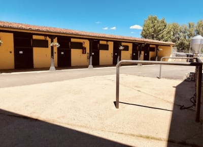 Escuela Hípica EquaLeón - hipica in Villaquilambre